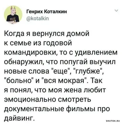 Свежие смешные анекдоты, шутки, прикольные картинки и гифки, мемы,  демотиваторы, фото приколы и видео приколы каждый день