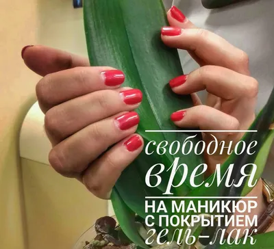 Свободное время ОКТЯБРЬ ⠀ 🔥КСЕНИЯ КУЛИКОВА 🔥 Новый мастер в нашей  команде, опыт работы 3 года, выполняет маникюр, педикюр, наращивание… |  Instagram