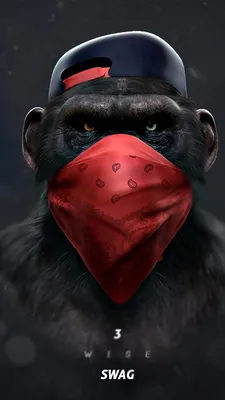 Download Monkey Swag TALK wallpaper by anddyy00 now. Browse millions of  popular monkey wallpapers and ringtones on Z… | Swag wallpaper, Monkey  wallpaper, Monkey art