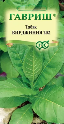 Табак Вирджиния 202, самый распространенный сорт, минимального количества  вредных смол, сладковатый вкус, фруктовый аромат семена купить недорого