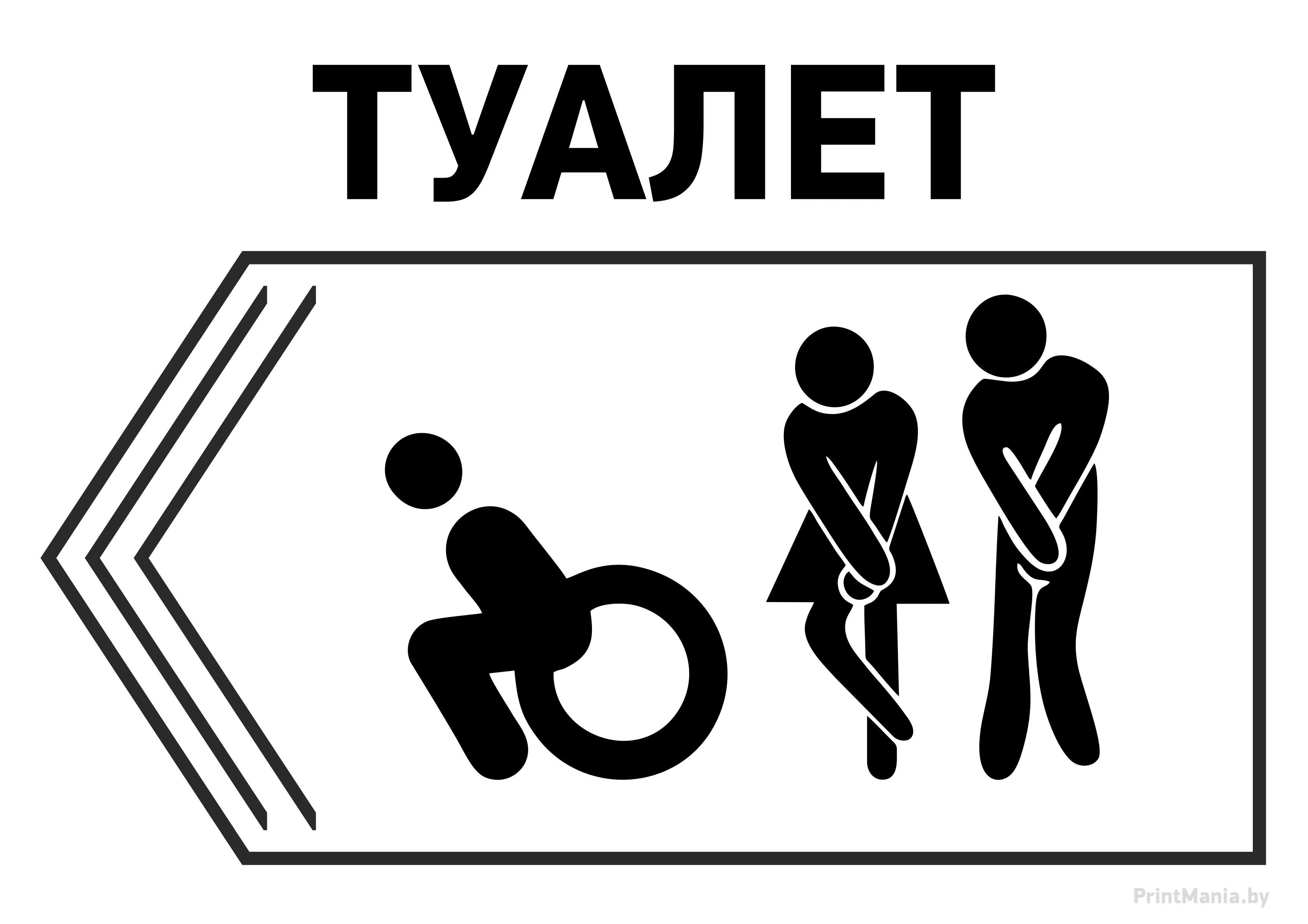 Brief для туалета