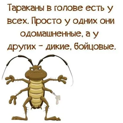 Почему тараканы такие неубиваемые? Секрет живучести вредителей | Пикабу