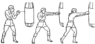 Техника бокса в картинках