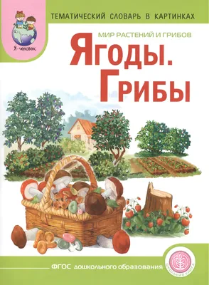 Тематический словарь в картинках. Мир человека. Гигиена и здоровье.