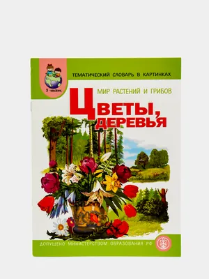 Спорт. Зимние и летние виды. Тематический словарь в картинках. Мир  человека, Школьная Книга — купить в интернет-магазине по низкой цене на  Яндекс Маркете