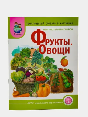 Книга Спорт. Зимние и летние Виды. тематический Словарь В картинках. Мир  Человека - купить развивающие книги для детей в интернет-магазинах, цены на  Мегамаркет | 0125