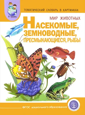 Аудиотехника. Видеотехника. Оргтехника и средства связи. Тематический  словарь в картинках купить по цене 33.17 ₽ в интернет-магазине KazanExpress