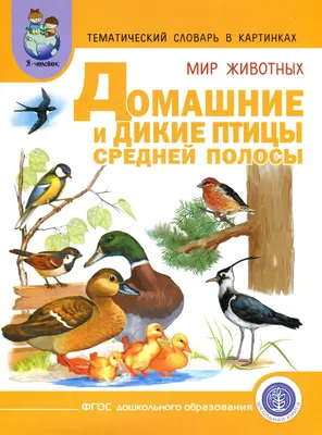 Тематический словарь в картинках \"Современные профессии\" за 87 ₽ купить в  интернет-магазине ПСБ Маркет от Промсвязьбанка