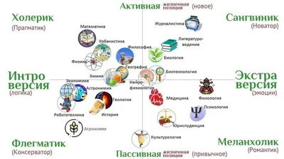 Как определить тип темперамента другого человека? - Блог Викиум