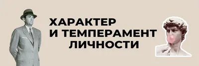 Как связаны темперамент и профессия. Какую работу нужно выбирать в  зависимости от типа темперамента - StudyInFocus