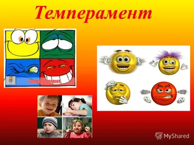 Темперамент Типов Инфографики — стоковая векторная графика и другие  изображения на тему Анализировать - Анализировать, Вариация, Векторная  графика - iStock