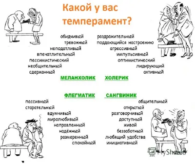 Темперамент или эмоциональный интеллект?