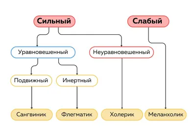 темперамент / смешные картинки и другие приколы: комиксы, гиф анимация,  видео, лучший интеллектуальный юмор.