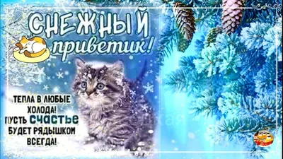 А знаешь, как я умудрилась прожить так долго? Я бодрилась. Я прямо с самого  утра.. | Любовь. Семья. Счастье. Доброта. | ВКонтакте