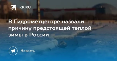Последствия теплой зимы: в Украине зафиксировали редкое природное явление -  Новости Луцка сегодня - 24 Канал