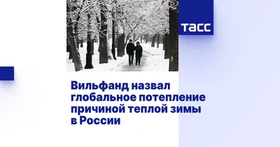 В Гидрометцентре назвали причину предстоящей теплой зимы в России - KP.RU