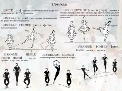 Словарь балетных терминов | Театр Детства