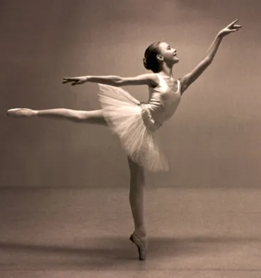 Термины балета с картинками