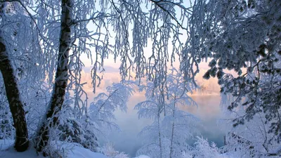 Road in deep forest Stock Photo by ©Iakov 4494326