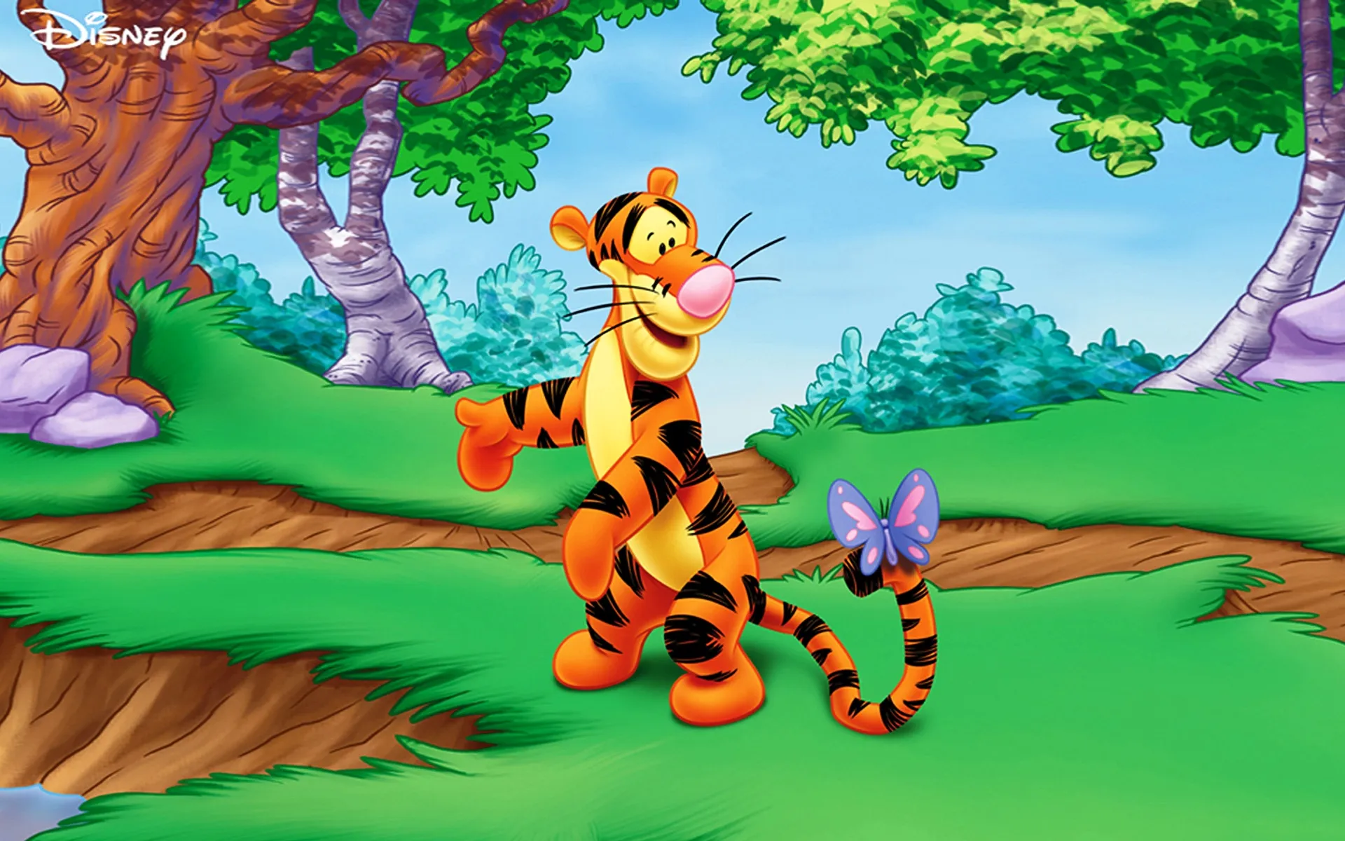 Tigger pooh. Тигра Винни пух. Винни пух Дисней Тигруля. Тигра из Винни пуха Дисней.