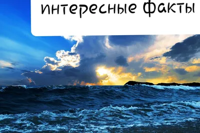 Хуснора Шодиева поделилась эмоциями, увидев вживую Тихий океан