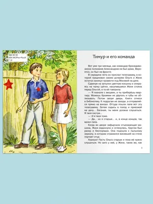 Тимур и его команда (с иллюстрациями) - Гайдар А.П., Купить c быстрой  доставкой или самовывозом, ISBN 978-5-04-110933-2 - КомБук (Combook.RU)