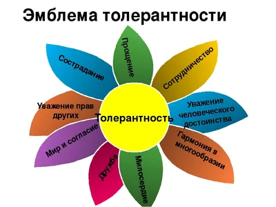 Толерантность, как я ее вижу. На конкретных примерах из жизни. | Академика  | Дзен