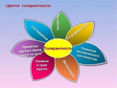 Блог группы ПР13/1 \"Программирование в компьютерных системах\": Фотоотчет по  Толерантности