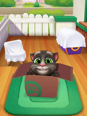 My Talking Tom 2 with Pets New icon app | Fandom