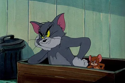 When Jerry is angry, Tom will feel afraid. #capcut #tomandjerry #funny... |  TikTok