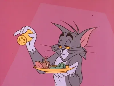 Скачать обои том и джери, tom and jerry разрешение 640x960 #42065