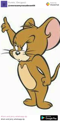 Обои Мультфильмы Tom And Jerry, обои для рабочего стола, фотографии  мультфильмы, tom and jerry, кот, фон, мышка, собака Обои для рабочего  стола, скачать обои картинки заставки на рабочий стол.