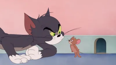 Обои Том и Джерри Мультфильмы Tom And Jerry, обои для рабочего стола,  фотографии том, джерри, мультфильмы, tom, and, jerry, и Обои для рабочего  стола, скачать обои картинки заставки на рабочий стол.