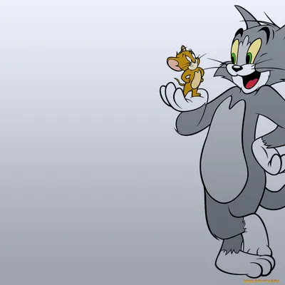 Tom And Jerry Dpz || Tom And Jerry Cute Photos || Tom And Jerry Whatsapp  dpz #dpz - YouTube