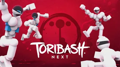 Анонсирован бесплатный пошаговый файтинг с элементами песочницы Toribash  Next