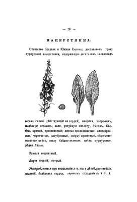 Смельский Е. Н. Царство врачебных трав и растений (целебный травник): Книга  практических советов. — Подарочное репринтное издание оригинала 1911 г.  (Кожаный переплет)