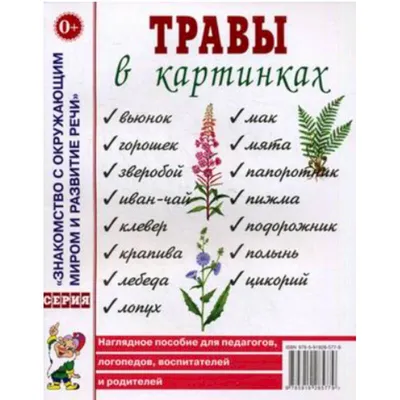 Knigi-janzen.de - Травы в картинках | 978-5-907008-54-0 | Купить русские  книги в интернет-магазине.