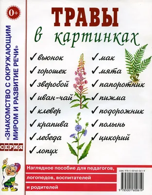 Книга Травы в картинках - купить в ИП Зинин, цена на Мегамаркет