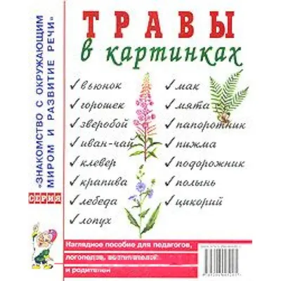 Учу дома: Картотека \"РЕЧЕВЫЕ ИГРЫ С КАРТИНКАМИ НА ТЕМУ \"ДЕРЕВЬЯ.  КУСТАРНИКИ. ТРАВЫ\"