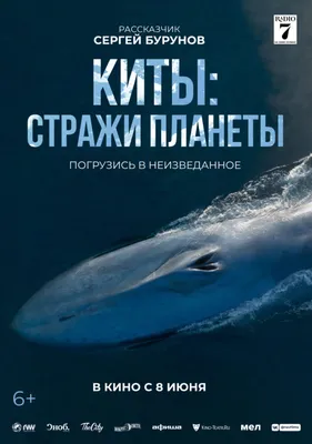 Кит, черепаха, слон: теории устройства мира от древних людей -  Рамблер/новости