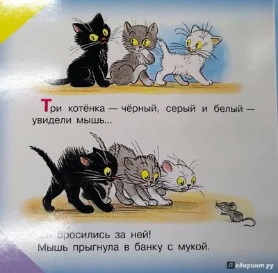 Фотогалерея \"Три котенка\" - \"Запевала\" - Фото котят