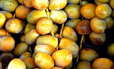 Разные тропические фрукты на цветном фоне :: Стоковая фотография ::  Pixel-Shot Studio
