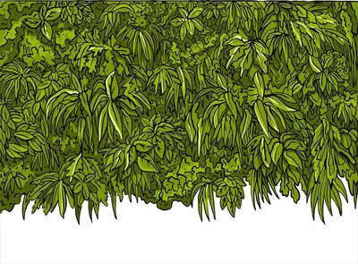 Тропический венок тропики листья Stock Illustration | Adobe Stock