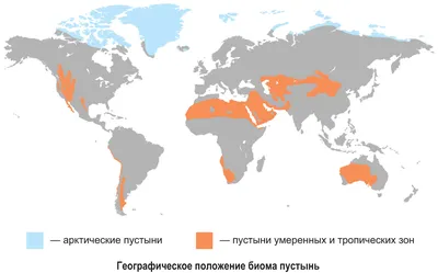 Из Марракеша: Атласские горы и 4-дневный тур по пустыне Сахара |  GetYourGuide