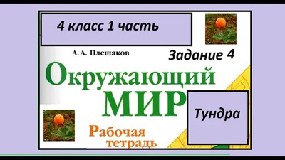 Цепь питания: что это такое, примеры пищевых цепочек