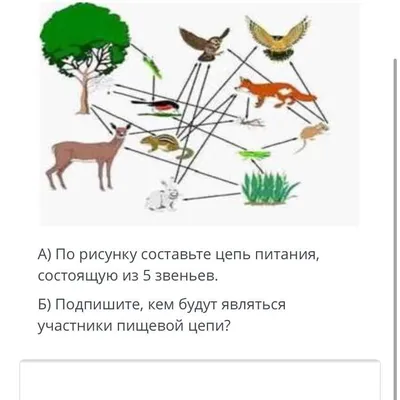 Цепь питания рисунок (48 фото) » Рисунки для срисовки и не только