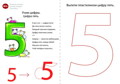 Знакомство с цифрой 5: прописи, раскраски, картинки для детей дошкольников  - Nils Blog