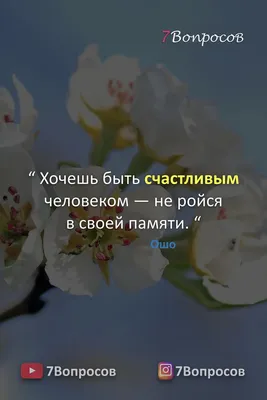 Великолепная цитата Ошо, которая помогает не реагировать на сплетников и  завистников | Бизнес. Психология. Деньги. | Дзен