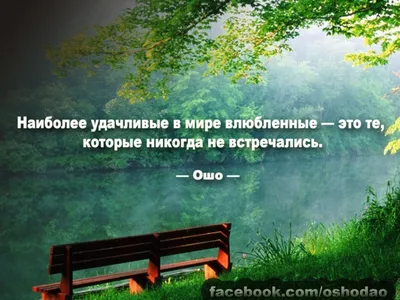 20 цитат об осознанности, которые помогут стать мудрым - Чемпионат