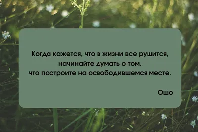 Цитаты религиозных деятелей. Ошо. | Цитаты, Цитаты ошо, Мудрые цитаты